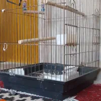 قفس پرنده سایز بزرگ کاسکو و طوطی