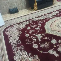 همخونه موجه و بی حاشیه میخوام