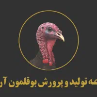 مزرعه تولید و پرورش بوقلمون آرسام