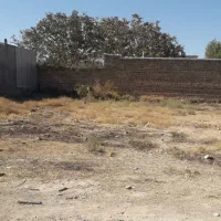 یک قطعه زمین مسکونی ۵۰۰ متر  تفکیک شده