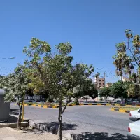 زمین-تجاری-بر-اصلی