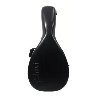 هارد کیس عود(بربط)|سازهای سنتی|تهران,  امام زاده قاسم (نیاوران)|دیوار