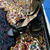 کفش مجلسی
