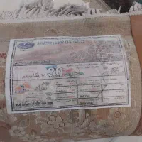 فرش ۹ متری شاهکار کویر یزد گل برجسته و سالم|فرش|پردیس, فاز ۸|دیوار