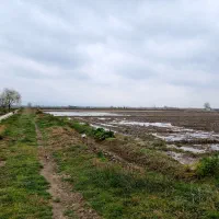 فروش ۲۰۰۰ متر زمین کشاورزی