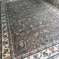 فرش ستاره شهر|فرش|سقز, |دیوار