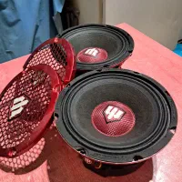 میدرنج تی تی سایز۶/۵ درحدنوبدون تعمیر۳۰۰ آرامس