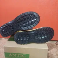 کفش|کیف، کفش، کمربند|برازجان, |دیوار