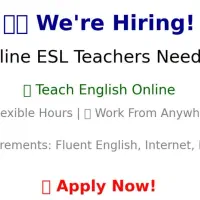 Online English Teacher