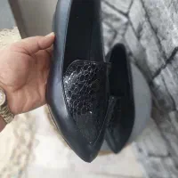 کفش کالج|کیف، کفش، کمربند|زابل, |دیوار