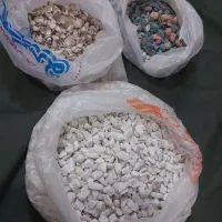 سنگ اکواریوم