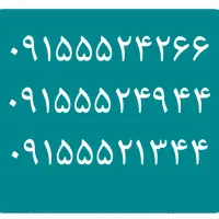 ۰۹۱۵۳۵۳۷۴۹۹