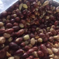 بادوم زمینی