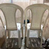 صندلی پلاستیکی|صندلی و نیمکت|اهواز, گلستان|دیوار