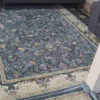 فرش ۶متری|فرش|قم, ولیعصر|دیوار