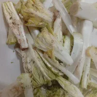 کنگر تازه