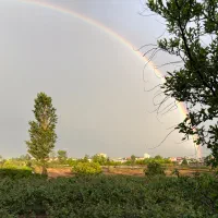 فروش-باغ-کیوی-مجهز-به-سردخانه