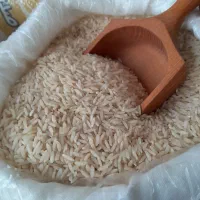 برنج طارم هاشمی درجه یک فوق اعلاء برداشت ۱ماه پیش