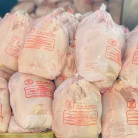 قصاب مرغ و خورد کن مرغ