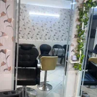 لوازم سالن|آرایشگاه و سالن‌های زیبایی|بجنورد, |دیوار