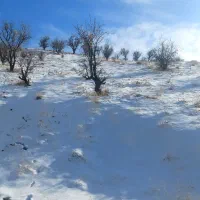 کلنگی جنوبی ۲۵۰ متری