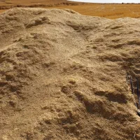 کاه‌گندم‌دیم|لوازم جانبی حیوانات|گل تپه, |دیوار