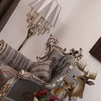 آباژور کنار سالنی