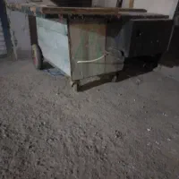 گاری بله ترشی