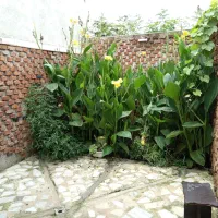 خونه ویلایی تازه ساخت|فروش خانه و ویلا|رشت, لاکان|دیوار