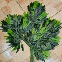 برگ بامبو|گل و گیاه طبیعی|اصفهان, تخت فولاد|دیوار