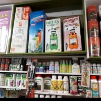 سم پاشی سوسک ساس مورچه ،|خدمات نظافت|تهران, ازگل|دیوار