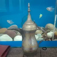دله قهوه