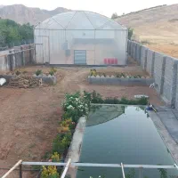 باغ گلخانه|فروش دفتر صنعتی، کشاورزی، تجاری|بیستون, |دیوار