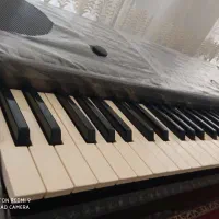 کیبورد یاماها|پیانو، کیبورد، آکاردئون|کرمان, |دیوار