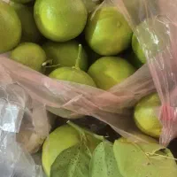 لیموشیرین