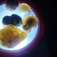 سنگ  گبری نگین  یمن بابا قوری