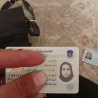کیف زنانه به همراه محتویات داخلش پیدا شده|اشیا|شیراز, ارم|دیوار