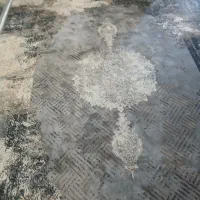 فرش ۶ متری دو عدد باهم ۷۰۰ شانه|فرش|پاکدشت, پاکدشت (مامازند)|دیوار