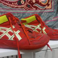 کفش کشتی نو است|کیف، کفش، کمربند|دهدشت, |دیوار