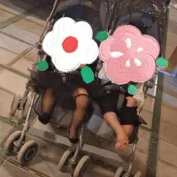 کالسکه دو قلو و روروئک