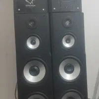 دوعدد باند دوقلو ایستاده