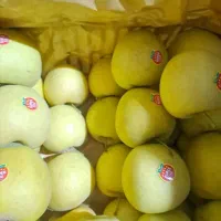 فروش سیب دوردیف|خدمات باغبانی و درختکاری|زیویه, |دیوار