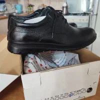 کفش مردانه|کیف، کفش، کمربند|کرج, برغان|دیوار