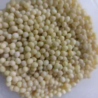 خاویارحلزون