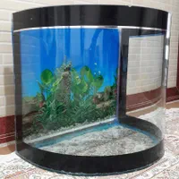 آکواریوم شیشه خم در حد نو|ماهی|کرمانشاه, |دیوار