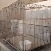 یک جفت عروس هلندی|پرنده|دلیجان, |دیوار