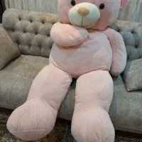 خرس ولنتاین خیلی بزرگ