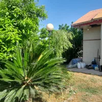 خانه‌ویلایی‌به‌متراژ۱۷۰۰متر|فروش خانه و ویلا|رشت, حومه رشت|دیوار