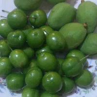چاقاله و گوجه سبز تازه