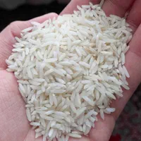 برنج هاشمی گیلان